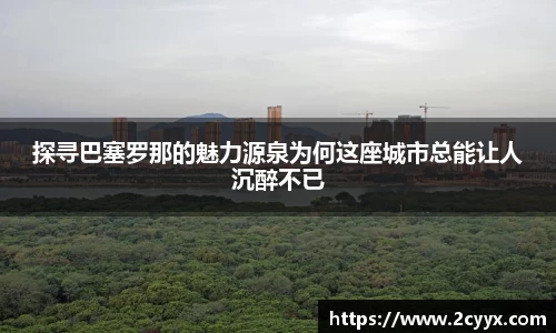 探寻巴塞罗那的魅力源泉为何这座城市总能让人沉醉不已