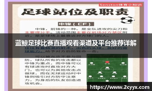 蓝鲸足球比赛直播观看渠道及平台推荐详解